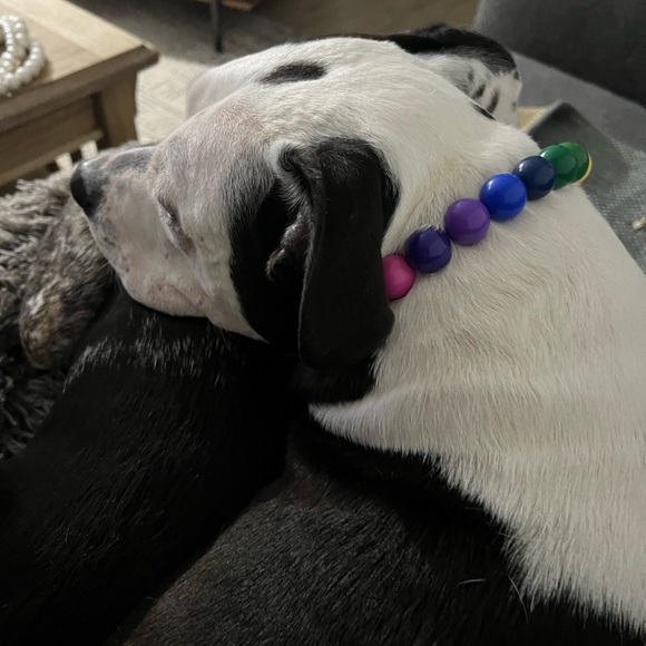 Handcrafted Beaded Dog Collar - Rainbow Collar - Picture 4 of 11